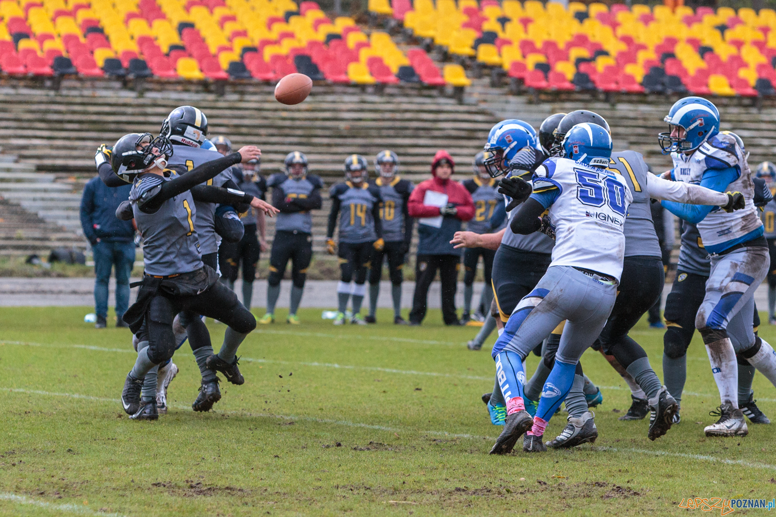 Półfinał MP U19: Kozły Poznań - Lowlanders Bialystok 22:0 - Foto: LepszyPOZNAN.pl / Paweł Rychter Półfinał MP U19: Kozły Poznań - Lowlanders Bialystok 22:0 - Foto: LepszyPOZNAN.pl / Paweł Rychter