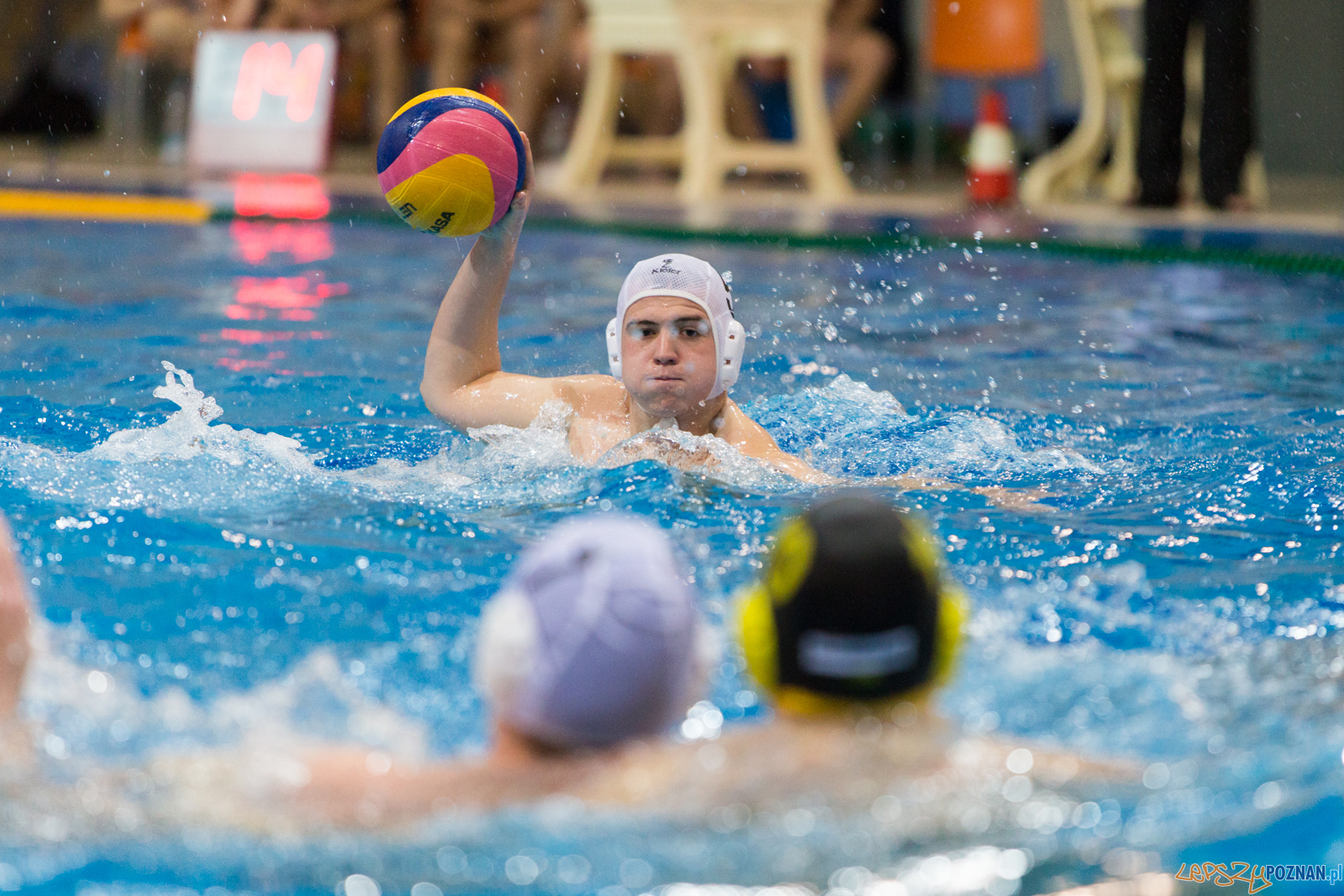 Waterpolo Poznań - Polonia Bytom Foto: lepszyPOZNAN.pl/Piotr Rychter Waterpolo Poznań - Polonia Bytom Foto: lepszyPOZNAN.pl/Piotr Rychter