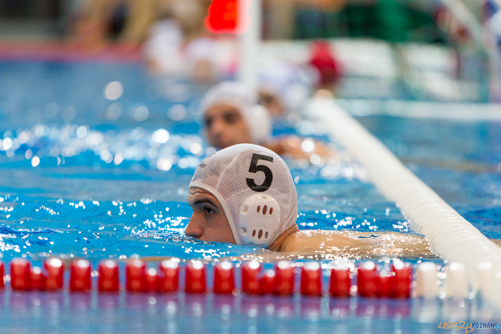 Waterpolo Poznań - Polonia Bytom Foto: lepszyPOZNAN.pl/Piotr Rychter Waterpolo Poznań - Polonia Bytom Foto: lepszyPOZNAN.pl/Piotr Rychter