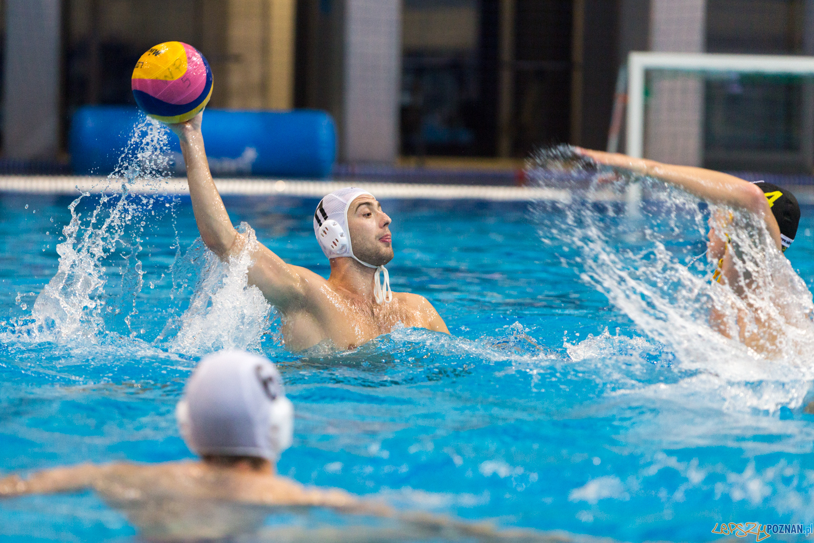 Waterpolo Poznań - Polonia Bytom Foto: lepszyPOZNAN.pl/Piotr Rychter Waterpolo Poznań - Polonia Bytom Foto: lepszyPOZNAN.pl/Piotr Rychter