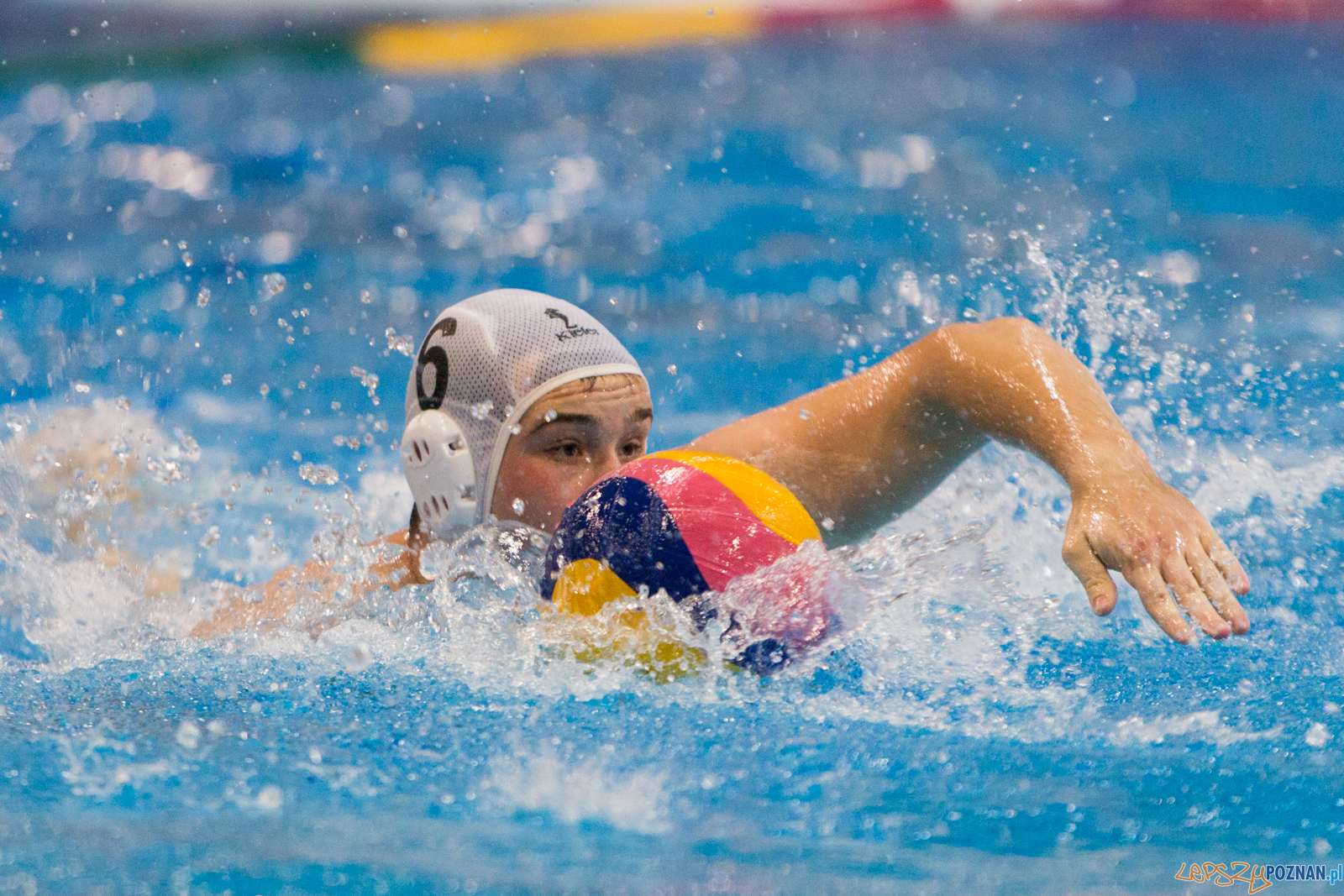 Waterpolo Poznań - Polonia Bytom Foto: lepszyPOZNAN.pl/Piotr Rychter Waterpolo Poznań - Polonia Bytom Foto: lepszyPOZNAN.pl/Piotr Rychter