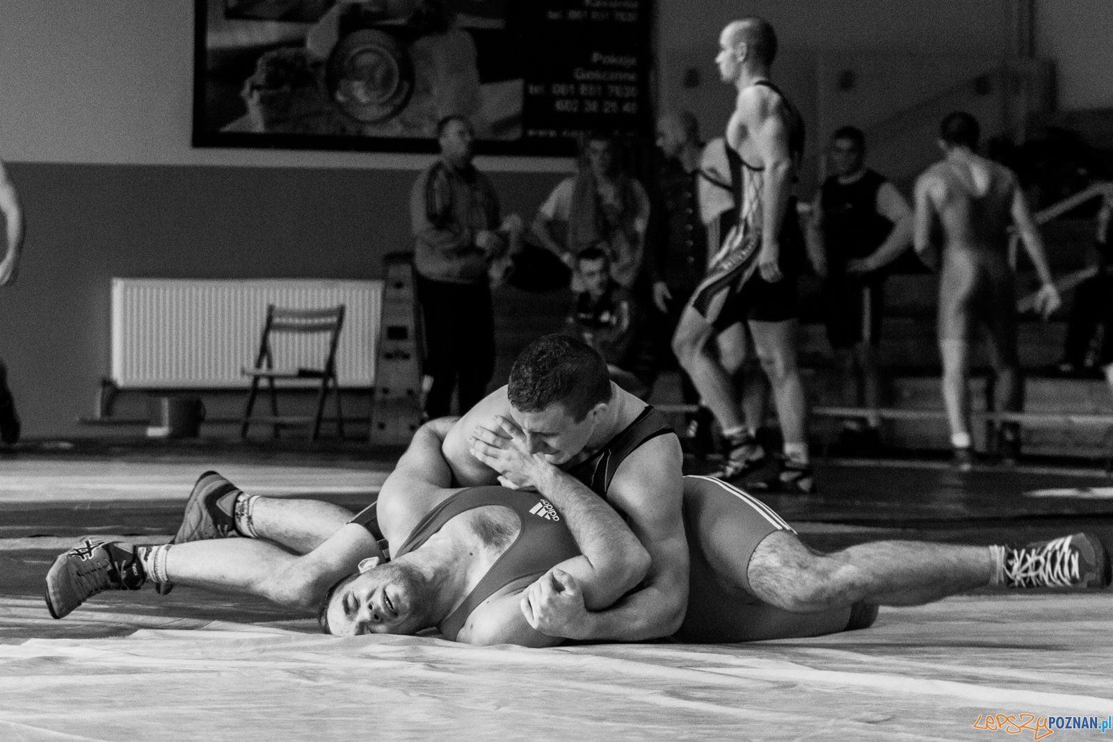 Młodzieżowe Mistrzostwa Polski w Zapasach Foto: lepszyPOZNAN.pl / Ewelina Jaskowiak Młodzieżowe Mistrzostwa Polski w Zapasach Foto: lepszyPOZNAN.pl / Ewelina Jaskowiak