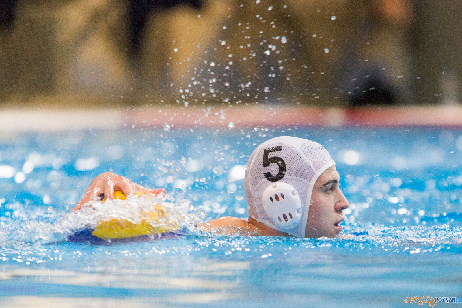 Waterpolo Poznań - Polonia Bytom Foto: lepszyPOZNAN.pl/Piotr Rychter Waterpolo Poznań - Polonia Bytom Foto: lepszyPOZNAN.pl/Piotr Rychter