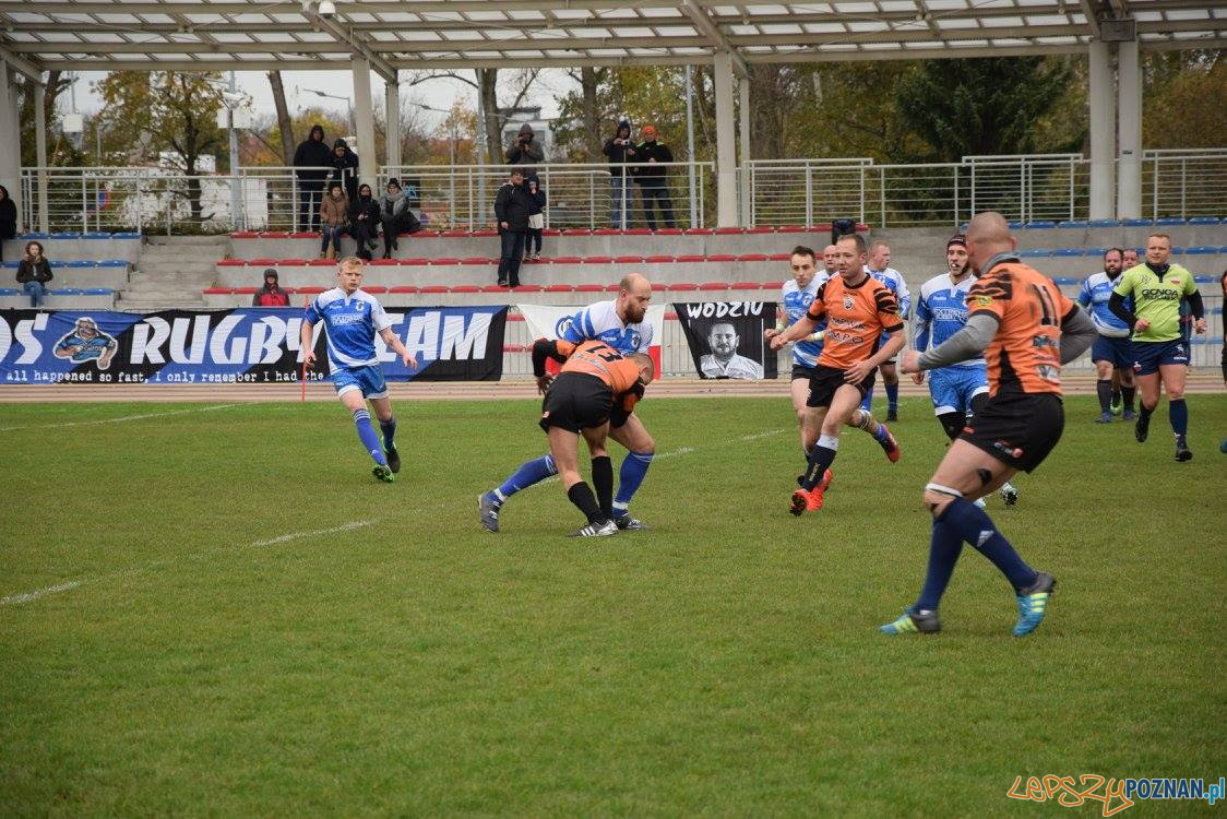 Miedziowi Lubin vs Chaos Poznań Foto: Weronika Biskupska Miedziowi Lubin vs Chaos Poznań Foto: Weronika Biskupska