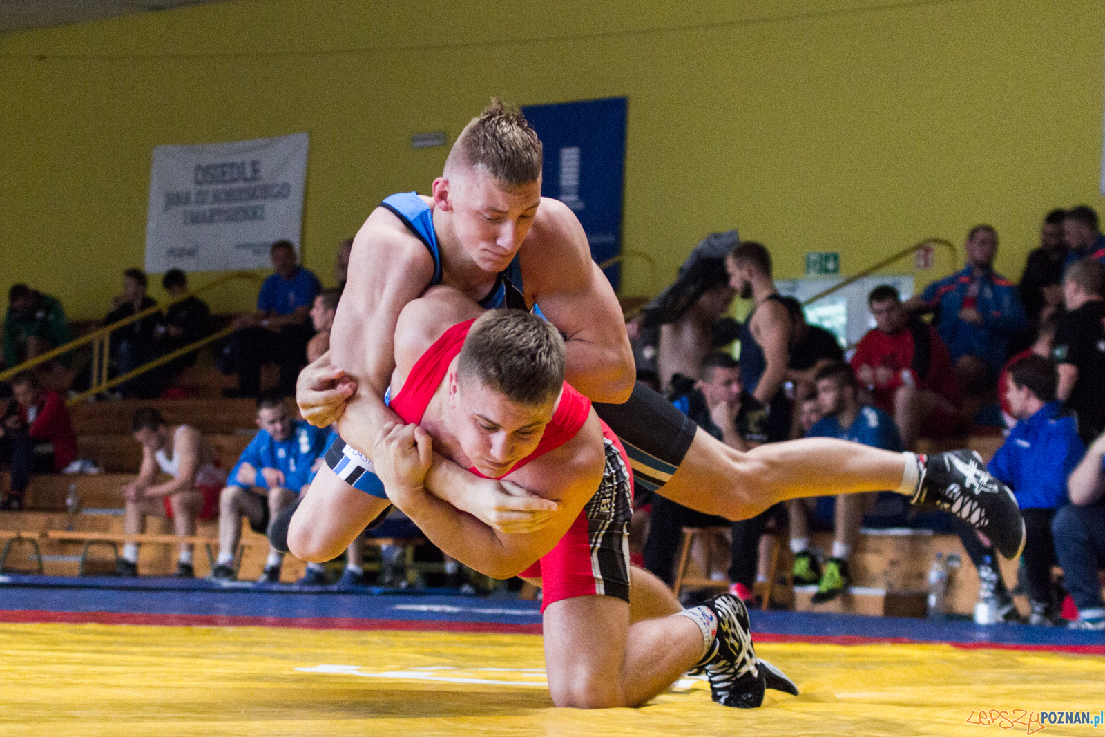Młodzieżowe Mistrzostwa Polski w Zapasach Foto: lepszyPOZNAN.pl / Ewelina Jaskowiak Młodzieżowe Mistrzostwa Polski w Zapasach Foto: lepszyPOZNAN.pl / Ewelina Jaskowiak