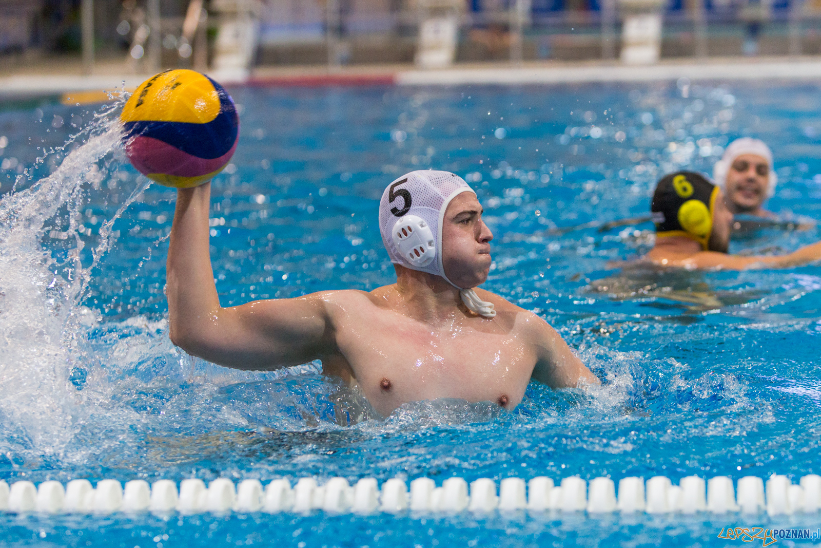 Waterpolo Poznań - Polonia Bytom Foto: lepszyPOZNAN.pl/Piotr Rychter Waterpolo Poznań - Polonia Bytom Foto: lepszyPOZNAN.pl/Piotr Rychter