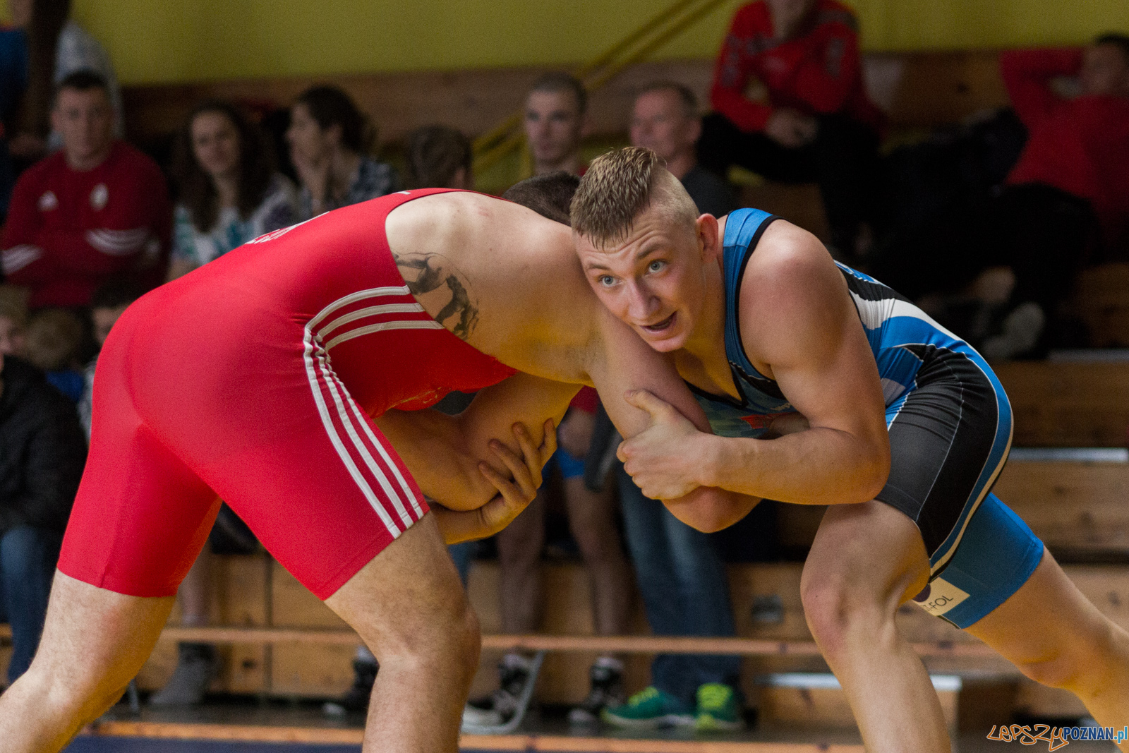 Młodzieżowe Mistrzostwa Polski w Zapasach Foto: lepszyPOZNAN.pl / Ewelina Jaskowiak Młodzieżowe Mistrzostwa Polski w Zapasach Foto: lepszyPOZNAN.pl / Ewelina Jaskowiak