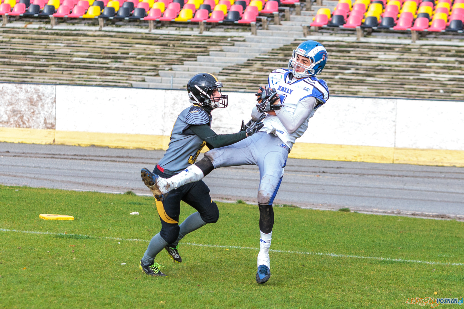 Półfinał MP U19: Kozły Poznań - Lowlanders Bialystok 22:0 - Foto: LepszyPOZNAN.pl / Paweł Rychter Półfinał MP U19: Kozły Poznań - Lowlanders Bialystok 22:0 - Foto: LepszyPOZNAN.pl / Paweł Rychter