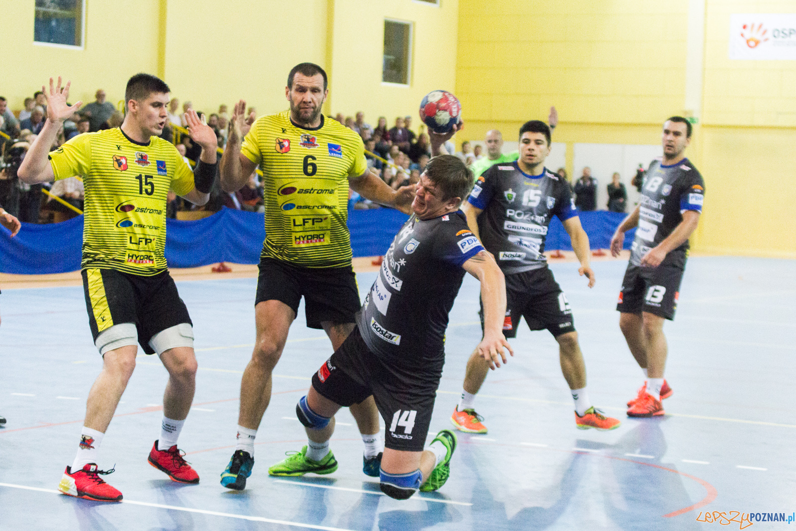 LP-2935 Foto: LepszyPOZNAN.pl / Ewelina Jaskowiak LP-2935 Foto: LepszyPOZNAN.pl / Ewelina Jaskowiak