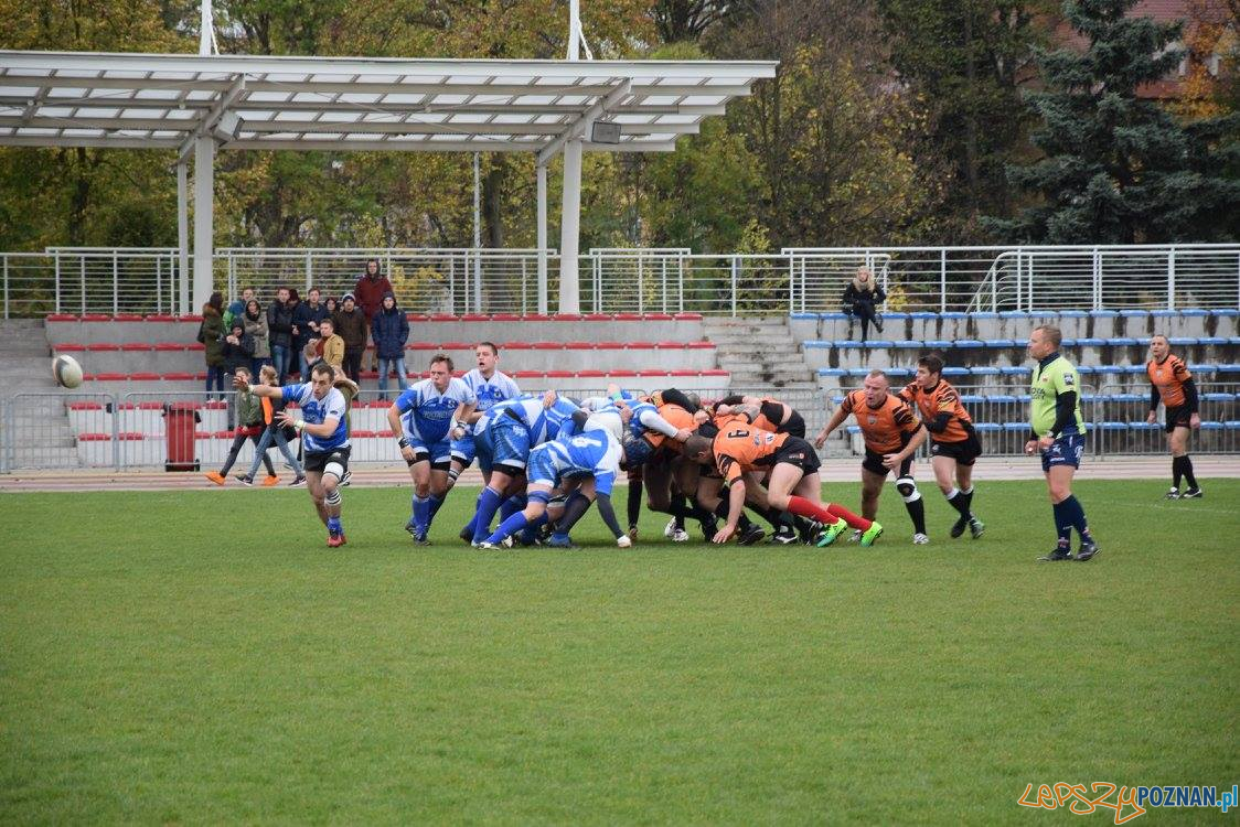 Miedziowi Lubin vs Chaos Poznań Foto: Weronika Biskupska Miedziowi Lubin vs Chaos Poznań Foto: Weronika Biskupska