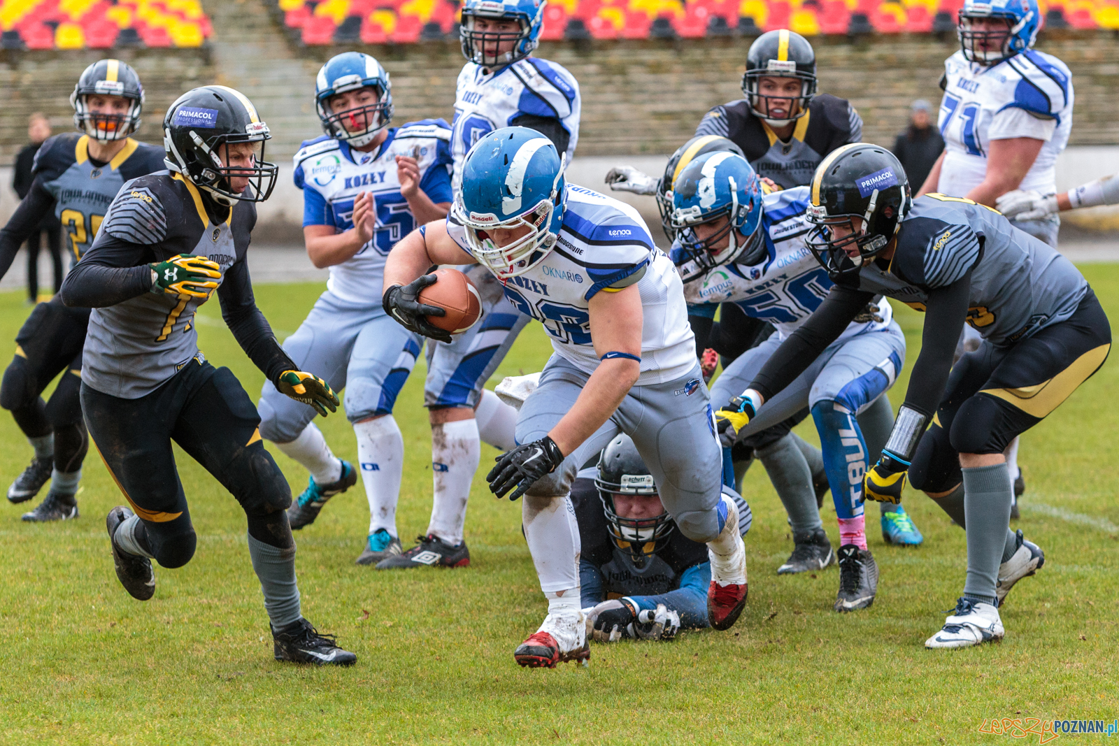 Półfinał MP U19: Kozły Poznań - Lowlanders Bialystok 22:0 - Foto: LepszyPOZNAN.pl / Paweł Rychter Półfinał MP U19: Kozły Poznań - Lowlanders Bialystok 22:0 - Foto: LepszyPOZNAN.pl / Paweł Rychter