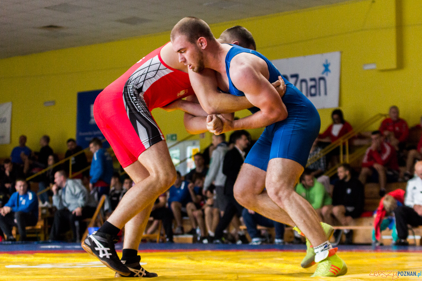 Młodzieżowe Mistrzostwa Polski w Zapasach Foto: lepszyPOZNAN.pl / Ewelina Jaskowiak Młodzieżowe Mistrzostwa Polski w Zapasach Foto: lepszyPOZNAN.pl / Ewelina Jaskowiak