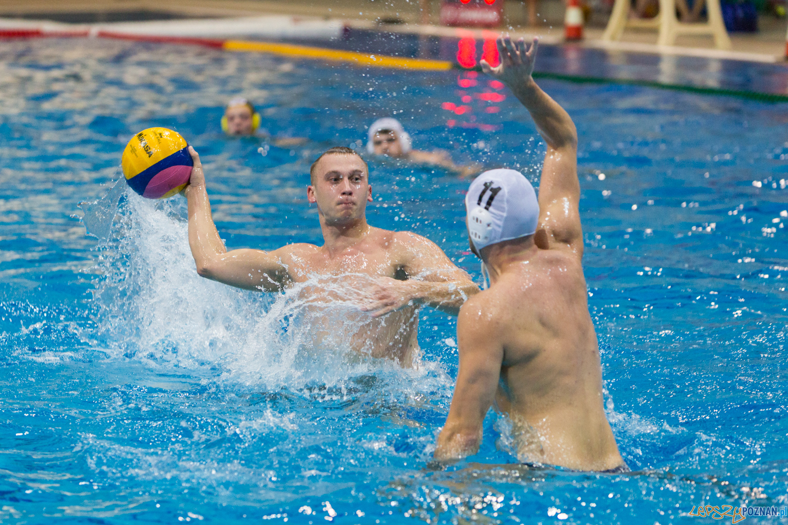 Waterpolo Poznań - Polonia Bytom Foto: lepszyPOZNAN.pl/Piotr Rychter Waterpolo Poznań - Polonia Bytom Foto: lepszyPOZNAN.pl/Piotr Rychter