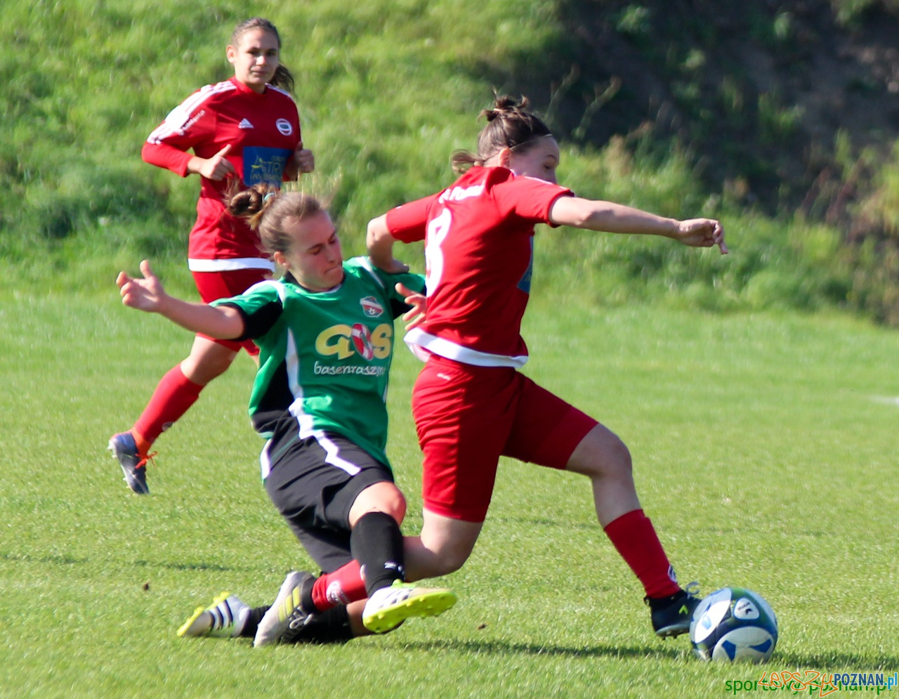 Polonia Poznań - KS Raszyn Foto: sportowy-poznan.pl / Elżbieta Skowron Polonia Poznań - KS Raszyn Foto: sportowy-poznan.pl / Elżbieta Skowron