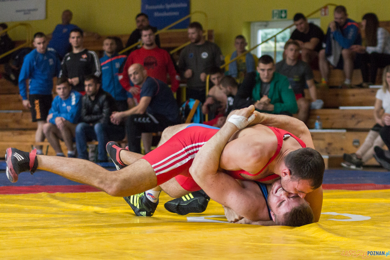 Młodzieżowe Mistrzostwa Polski w Zapasach Foto: lepszyPOZNAN.pl / Ewelina Jaskowiak Młodzieżowe Mistrzostwa Polski w Zapasach Foto: lepszyPOZNAN.pl / Ewelina Jaskowiak