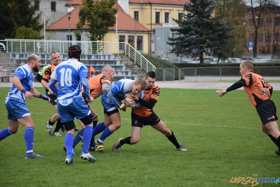 Miedziowi Lubin vs Chaos Poznań Foto: Weronika Biskupska Miedziowi Lubin vs Chaos Poznań Foto: Weronika Biskupska