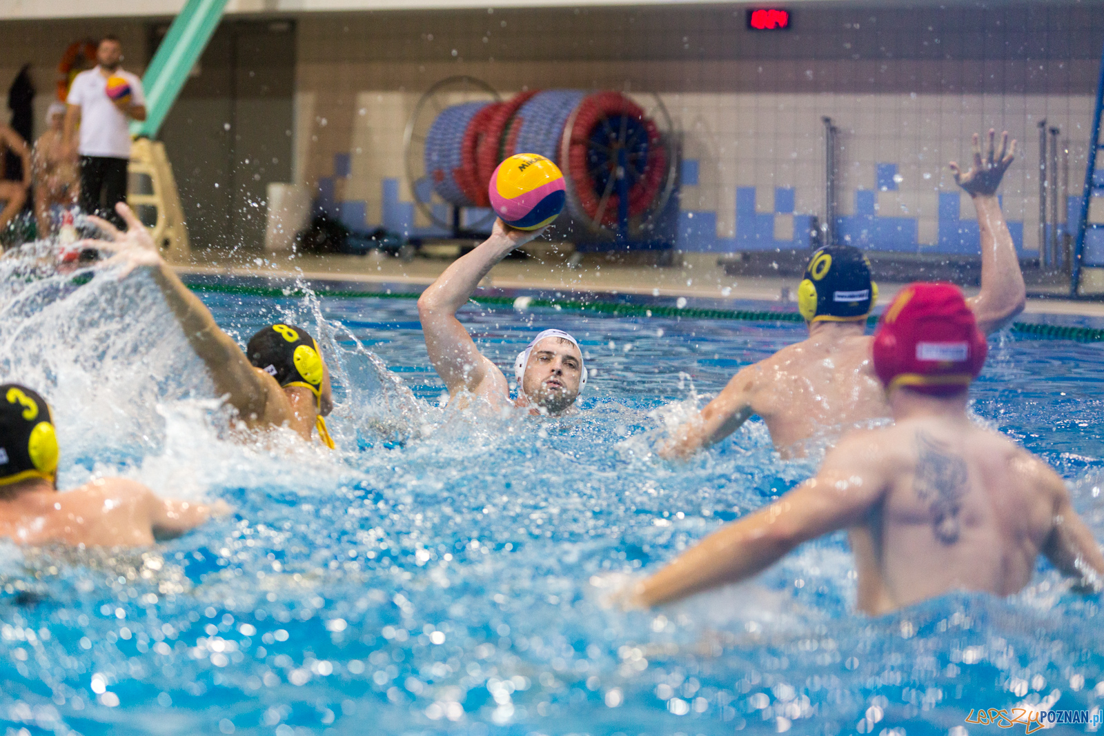 Waterpolo Poznań - Polonia Bytom Foto: lepszyPOZNAN.pl/Piotr Rychter Waterpolo Poznań - Polonia Bytom Foto: lepszyPOZNAN.pl/Piotr Rychter