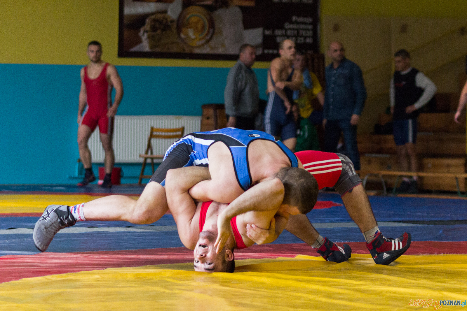 Młodzieżowe Mistrzostwa Polski w Zapasach Foto: lepszyPOZNAN.pl / Ewelina Jaskowiak Młodzieżowe Mistrzostwa Polski w Zapasach Foto: lepszyPOZNAN.pl / Ewelina Jaskowiak