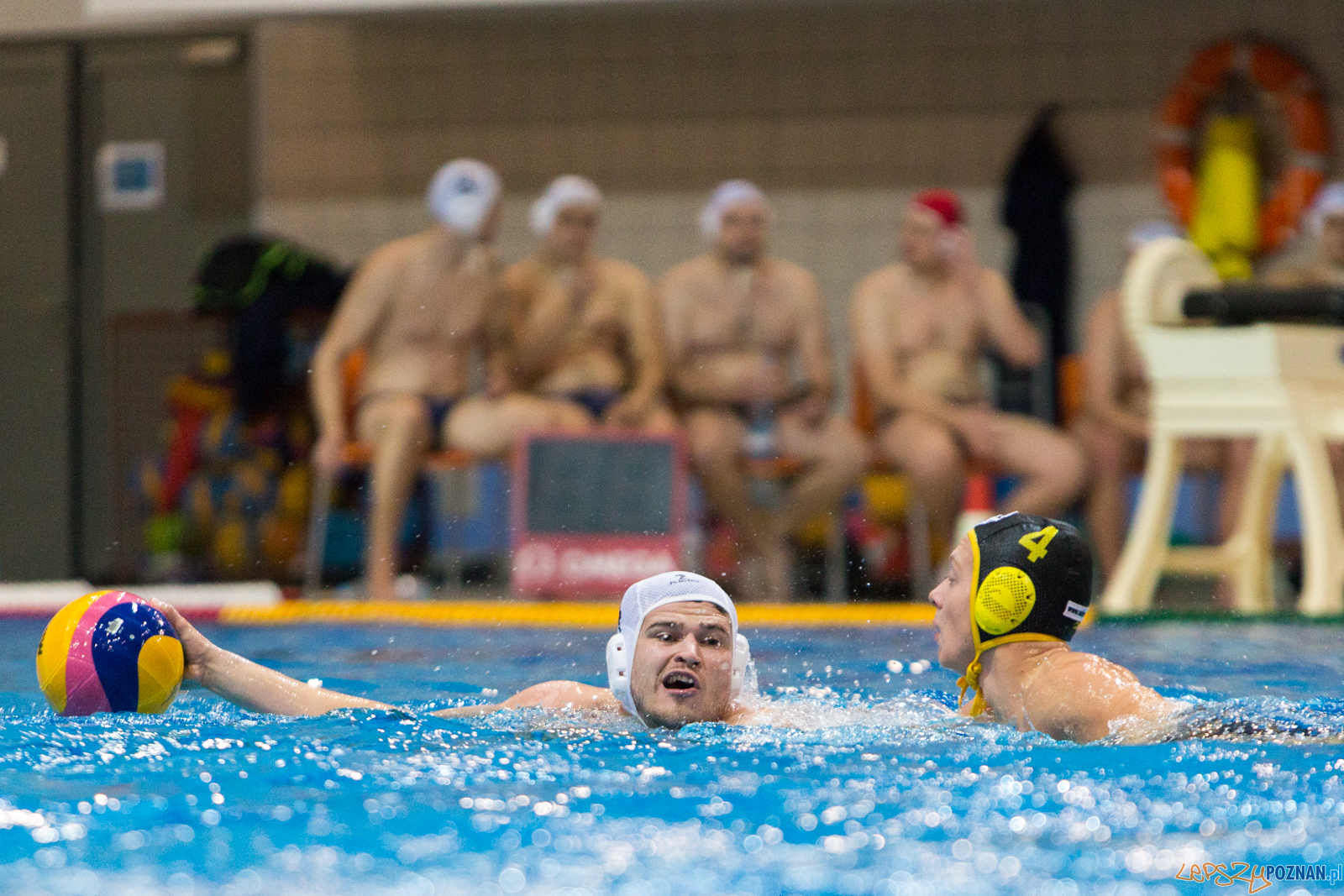 Waterpolo Poznań - Polonia Bytom Foto: lepszyPOZNAN.pl/Piotr Rychter Waterpolo Poznań - Polonia Bytom Foto: lepszyPOZNAN.pl/Piotr Rychter