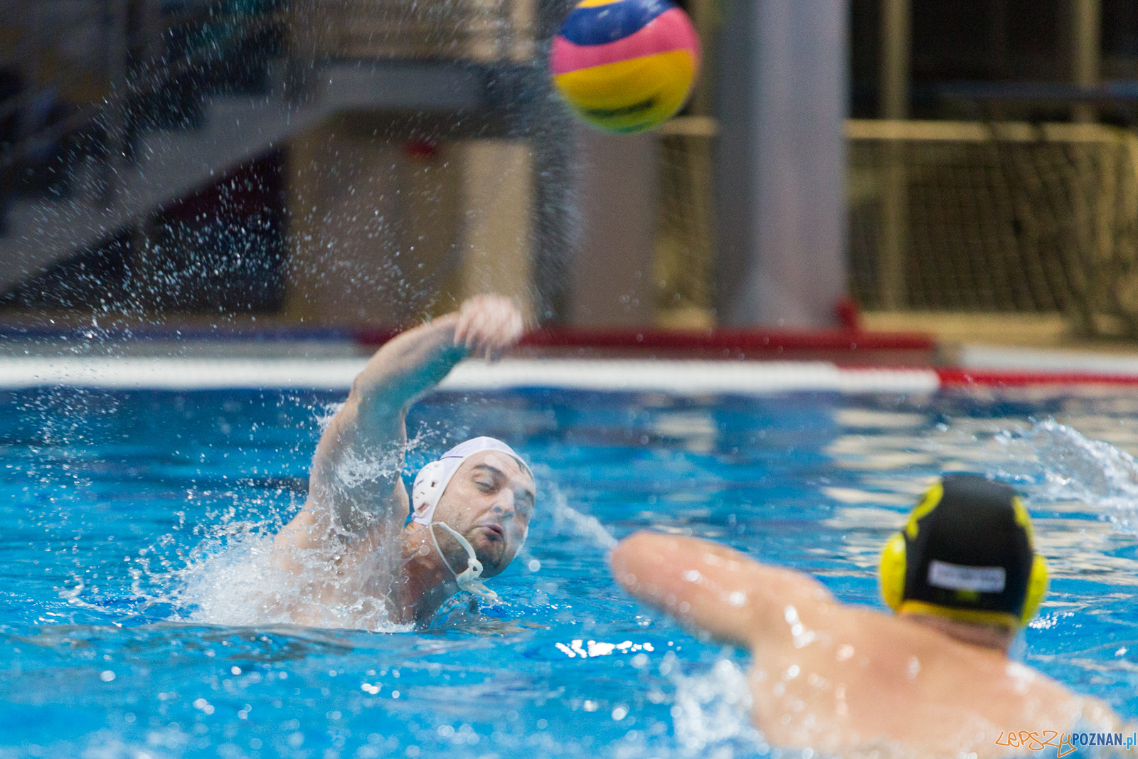 Waterpolo Poznań - Polonia Bytom Foto: lepszyPOZNAN.pl/Piotr Rychter Waterpolo Poznań - Polonia Bytom Foto: lepszyPOZNAN.pl/Piotr Rychter
