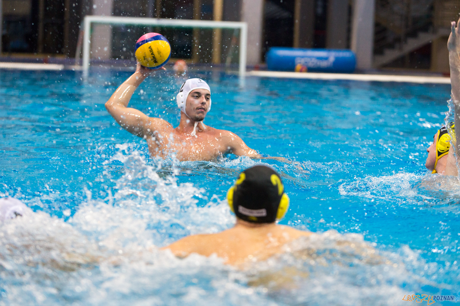 Waterpolo Poznań - Polonia Bytom Foto: lepszyPOZNAN.pl/Piotr Rychter Waterpolo Poznań - Polonia Bytom Foto: lepszyPOZNAN.pl/Piotr Rychter