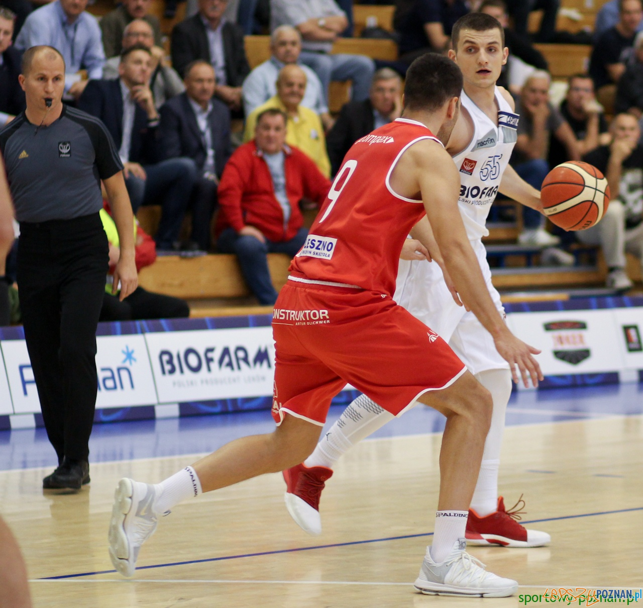 Biofarm Basket Poznań - Jamalex Polonia 1912 Leszno Foto: sportowy-poznan.pl / Elżbieta Skowron Biofarm Basket Poznań - Jamalex Polonia 1912 Leszno Foto: sportowy-poznan.pl / Elżbieta Skowron
