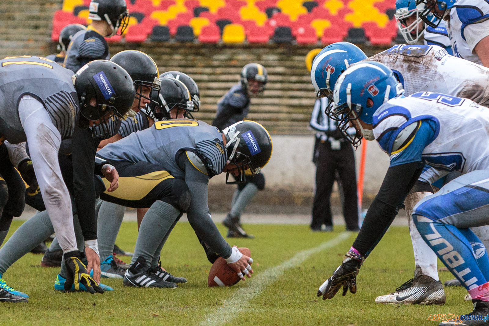 Półfinał MP U19: Kozły Poznań - Lowlanders Bialystok 22:0 - Foto: LepszyPOZNAN.pl / Paweł Rychter Półfinał MP U19: Kozły Poznań - Lowlanders Bialystok 22:0 - Foto: LepszyPOZNAN.pl / Paweł Rychter