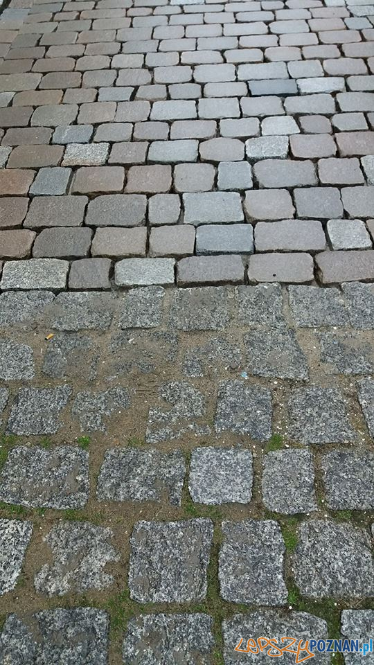 Zeszlifowana kostka na ulicy Woźnej Foto: biuletyn.poznan.pl / Jan Gładysiak Zeszlifowana kostka na ulicy Woźnej Foto: biuletyn.poznan.pl / Jan Gładysiak