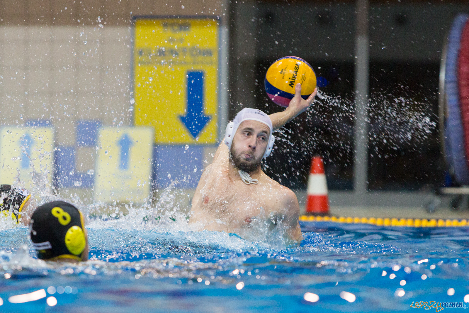Waterpolo Poznań - Polonia Bytom Foto: lepszyPOZNAN.pl/Piotr Rychter Waterpolo Poznań - Polonia Bytom Foto: lepszyPOZNAN.pl/Piotr Rychter