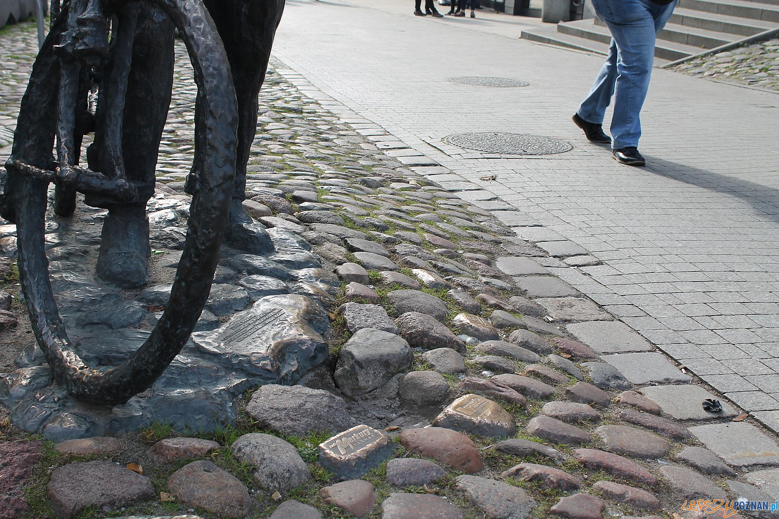 Stary Marych nieporządek wokól pomnika (5) Foto: T. Dworek / ROSM Stary Marych nieporządek wokól pomnika (5) Foto: T. Dworek / ROSM