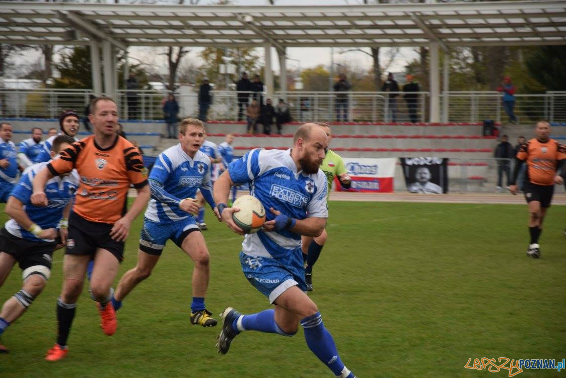 Miedziowi Lubin vs Chaos Poznań Foto: Weronika Biskupska Miedziowi Lubin vs Chaos Poznań Foto: Weronika Biskupska