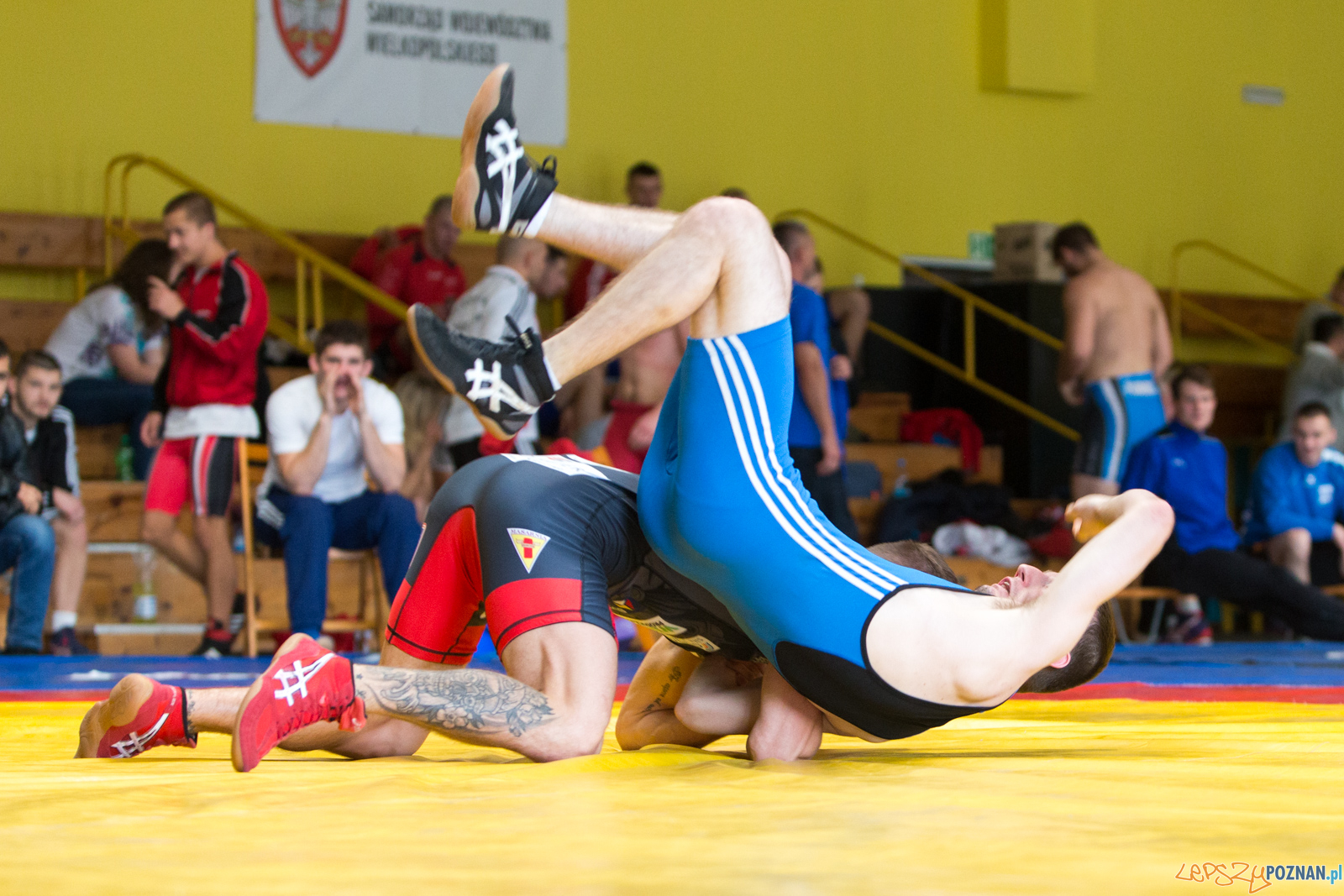 Młodzieżowe Mistrzostwa Polski - Zapasy Styl Klasyczny Foto: lepszyPOZNAN.pl/Piotr Rychter Młodzieżowe Mistrzostwa Polski - Zapasy Styl Klasyczny Foto: lepszyPOZNAN.pl/Piotr Rychter