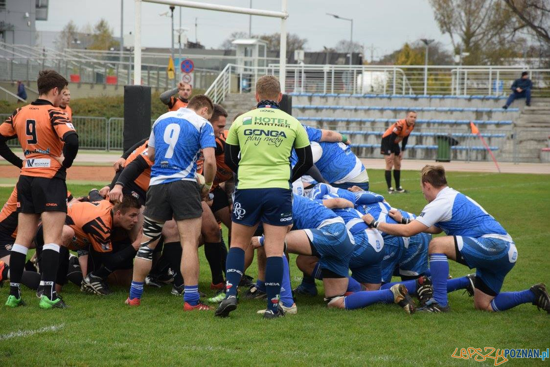 Miedziowi Lubin vs Chaos Poznań Foto: Weronika Biskupska Miedziowi Lubin vs Chaos Poznań Foto: Weronika Biskupska