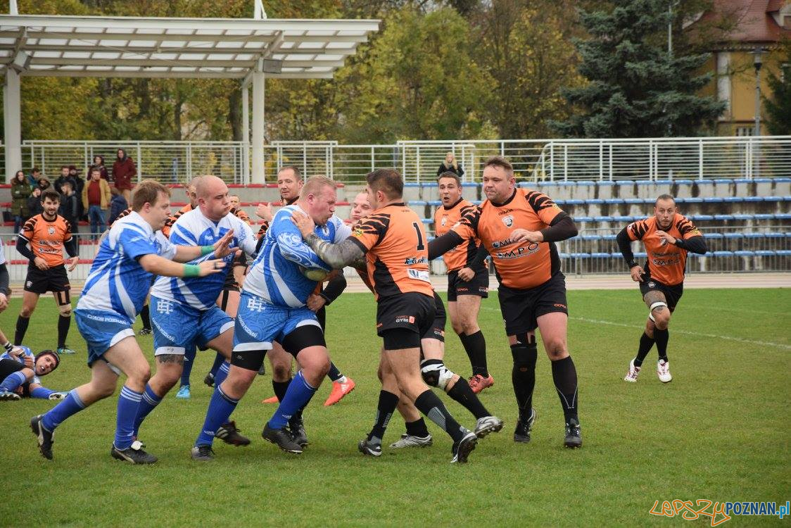 Miedziowi Lubin vs Chaos Poznań Foto: Weronika Biskupska Miedziowi Lubin vs Chaos Poznań Foto: Weronika Biskupska