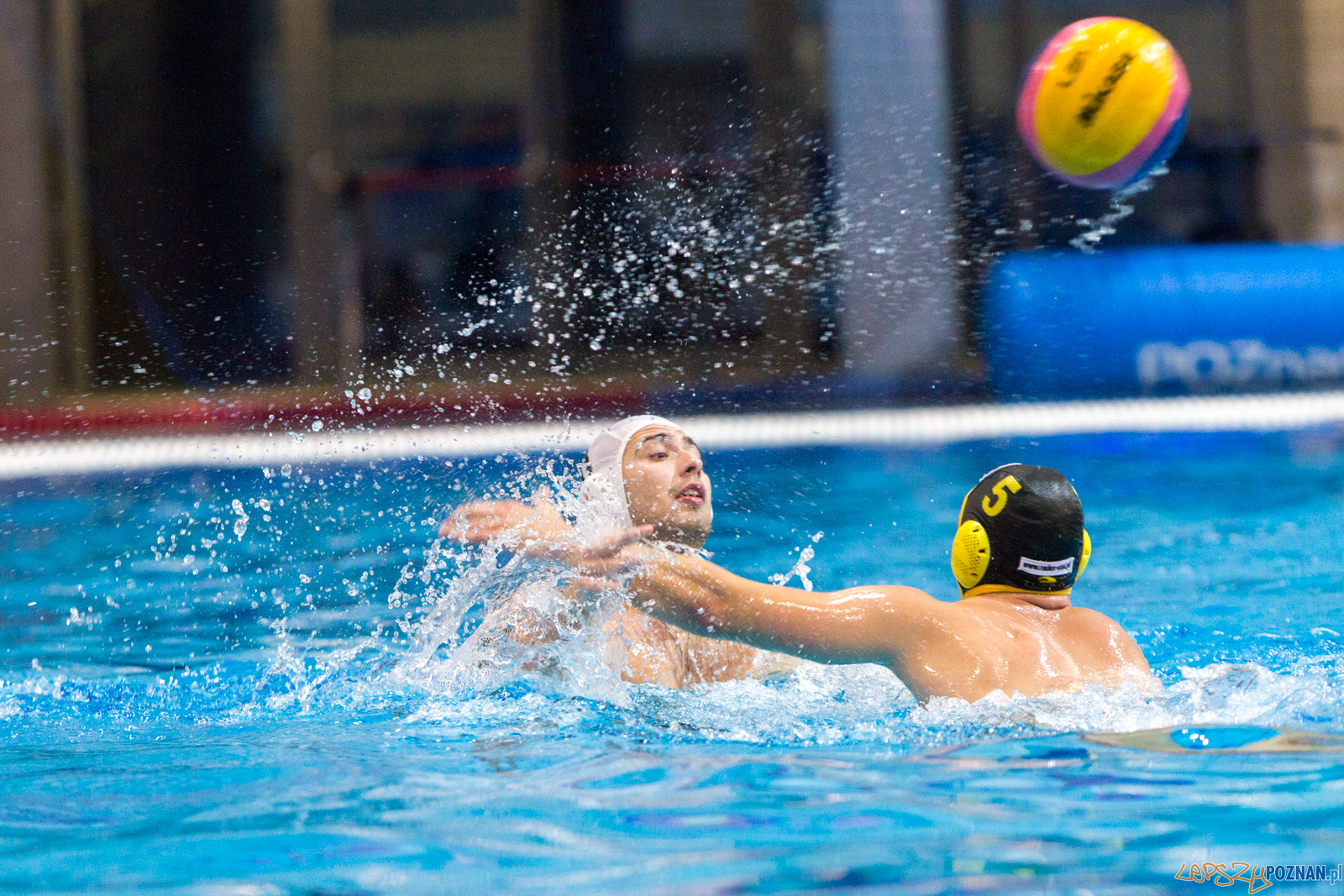 Waterpolo Poznań - Polonia Bytom Foto: lepszyPOZNAN.pl/Piotr Rychter Waterpolo Poznań - Polonia Bytom Foto: lepszyPOZNAN.pl/Piotr Rychter