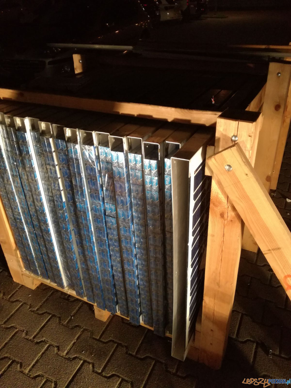 To był rekordowy przemyt ćmików Foto: KWP To był rekordowy przemyt ćmików Foto: KWP