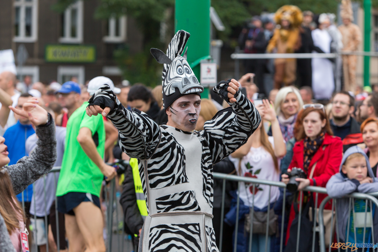 18.PKO Poznań Maraton Foto: lepszyPOZNAN.pl/Piotr Rychter 18.PKO Poznań Maraton Foto: lepszyPOZNAN.pl/Piotr Rychter