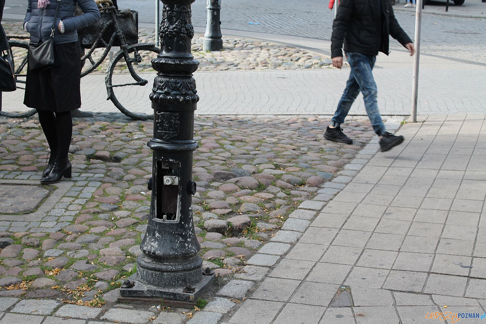 Stary Marych nieporządek wokól pomnika (2) Foto: T. Dworek / ROSM Stary Marych nieporządek wokól pomnika (2) Foto: T. Dworek / ROSM