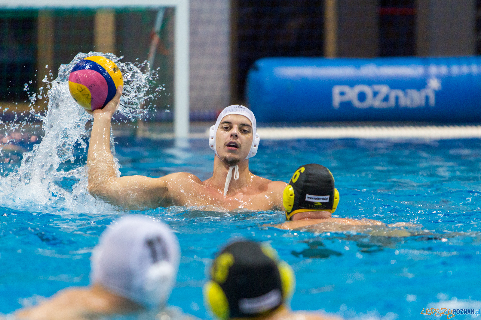 Waterpolo Poznań - Polonia Bytom Foto: lepszyPOZNAN.pl/Piotr Rychter Waterpolo Poznań - Polonia Bytom Foto: lepszyPOZNAN.pl/Piotr Rychter