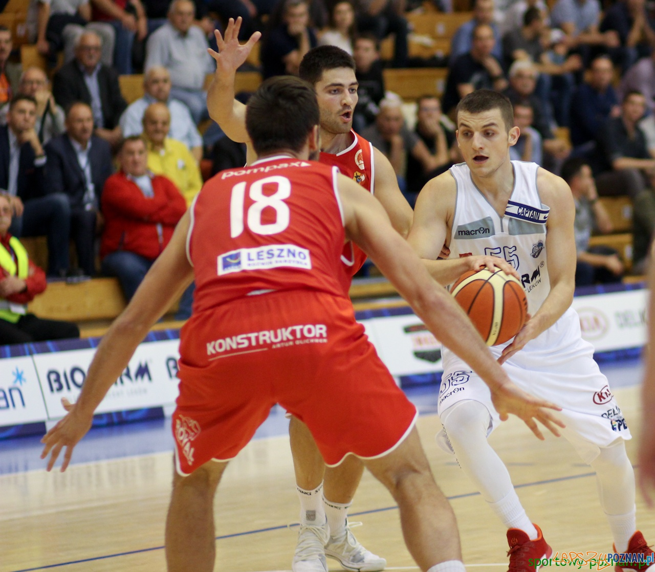 Biofarm Basket Poznań - Jamalex Polonia 1912 Leszno Foto: sportowy-poznan.pl / Elżbieta Skowron Biofarm Basket Poznań - Jamalex Polonia 1912 Leszno Foto: sportowy-poznan.pl / Elżbieta Skowron