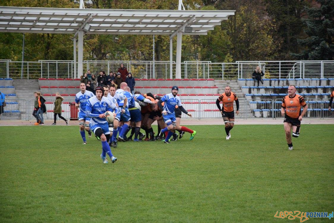 Miedziowi Lubin vs Chaos Poznań Foto: Weronika Biskupska Miedziowi Lubin vs Chaos Poznań Foto: Weronika Biskupska