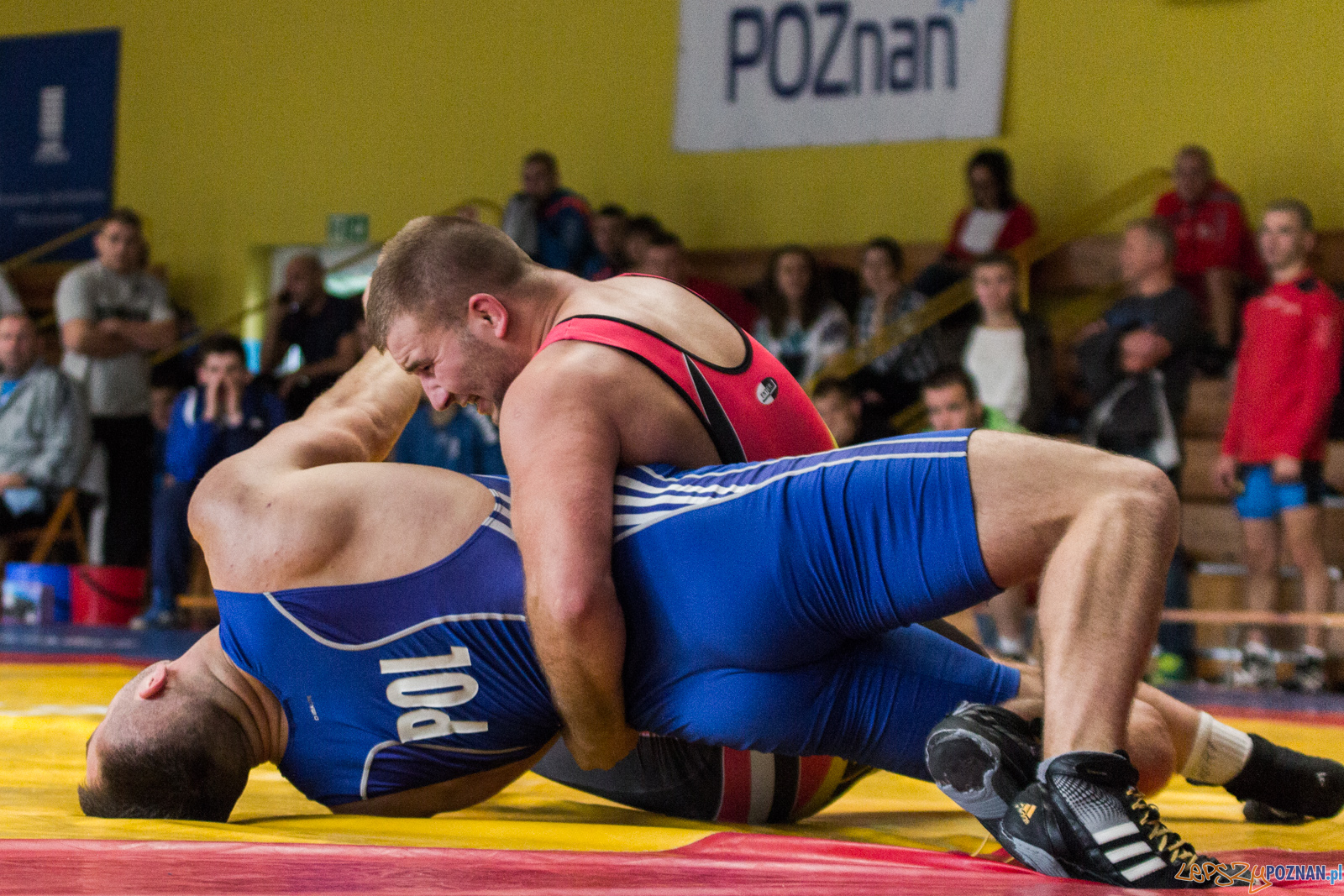 Młodzieżowe Mistrzostwa Polski w Zapasach Foto: lepszyPOZNAN.pl / Ewelina Jaskowiak Młodzieżowe Mistrzostwa Polski w Zapasach Foto: lepszyPOZNAN.pl / Ewelina Jaskowiak
