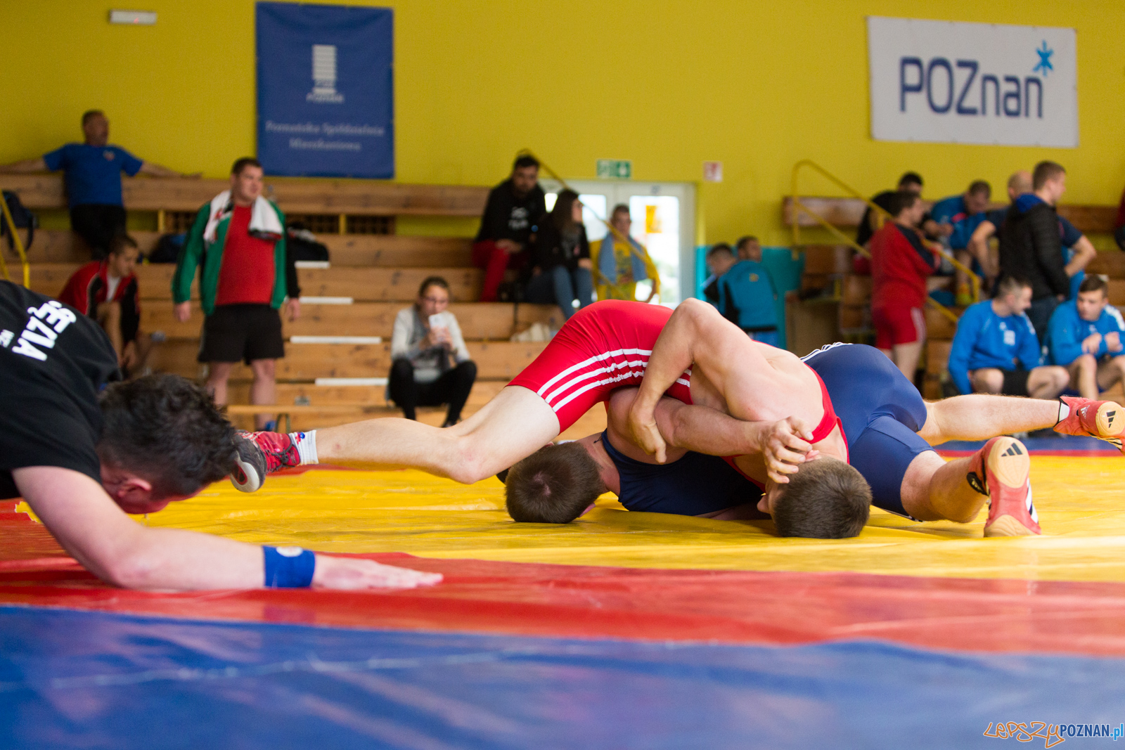 Młodzieżowe Mistrzostwa Polski - Zapasy Styl Klasyczny Foto: lepszyPOZNAN.pl/Piotr Rychter Młodzieżowe Mistrzostwa Polski - Zapasy Styl Klasyczny Foto: lepszyPOZNAN.pl/Piotr Rychter