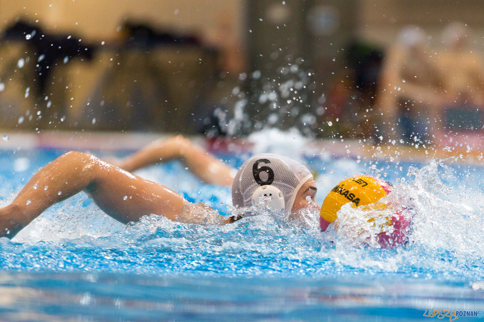 Waterpolo Poznań - Polonia Bytom Foto: lepszyPOZNAN.pl/Piotr Rychter Waterpolo Poznań - Polonia Bytom Foto: lepszyPOZNAN.pl/Piotr Rychter