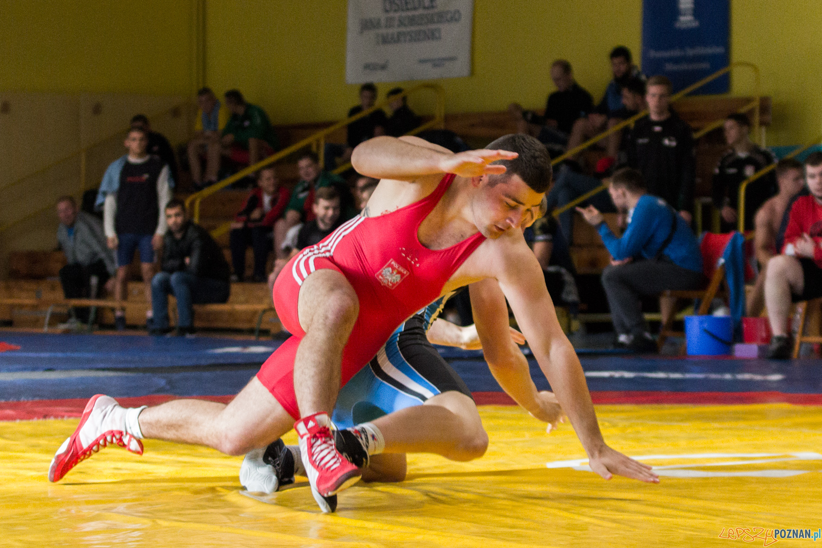 Młodzieżowe Mistrzostwa Polski w Zapasach Foto: lepszyPOZNAN.pl / Ewelina Jaskowiak Młodzieżowe Mistrzostwa Polski w Zapasach Foto: lepszyPOZNAN.pl / Ewelina Jaskowiak