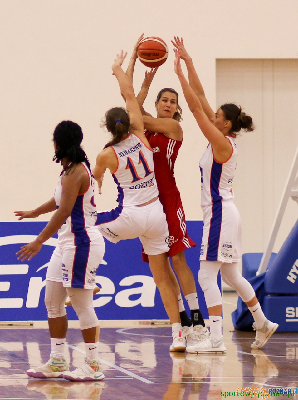 Enea AZS Poznań-Wisła Can-Pack Kraków Foto: sportowy-poznan.pl / Elżbieta Skowron Enea AZS Poznań-Wisła Can-Pack Kraków Foto: sportowy-poznan.pl / Elżbieta Skowron