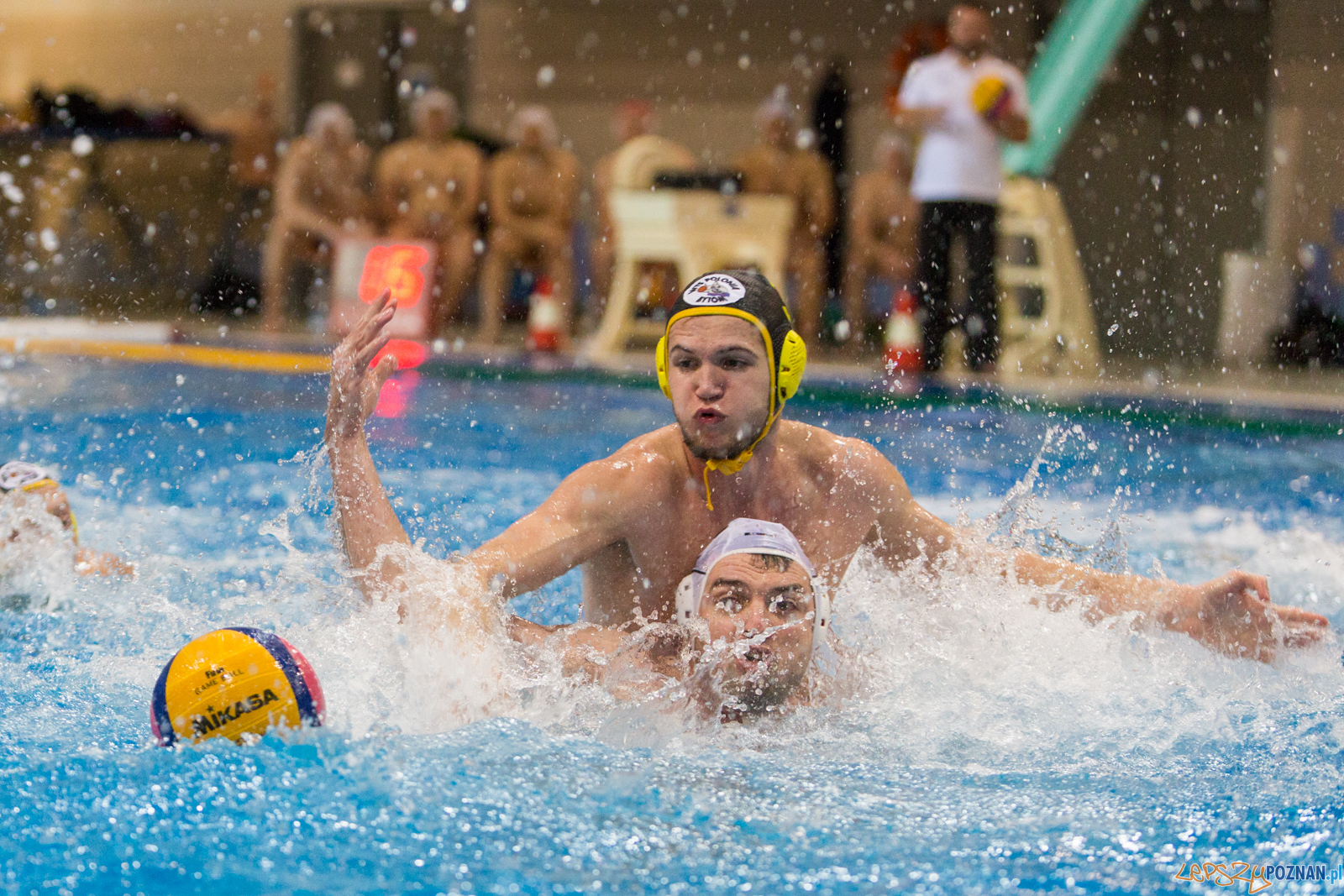 Waterpolo Poznań - Polonia Bytom Foto: lepszyPOZNAN.pl/Piotr Rychter Waterpolo Poznań - Polonia Bytom Foto: lepszyPOZNAN.pl/Piotr Rychter