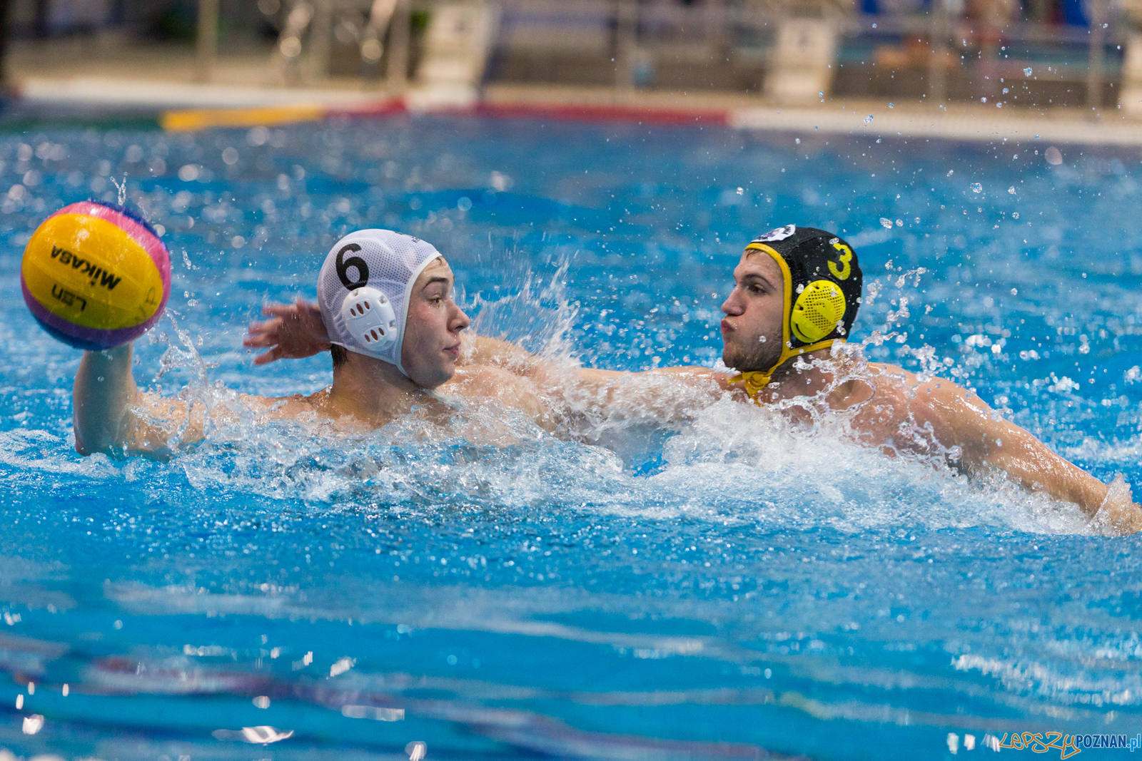 Waterpolo Poznań - Polonia Bytom Foto: lepszyPOZNAN.pl/Piotr Rychter Waterpolo Poznań - Polonia Bytom Foto: lepszyPOZNAN.pl/Piotr Rychter