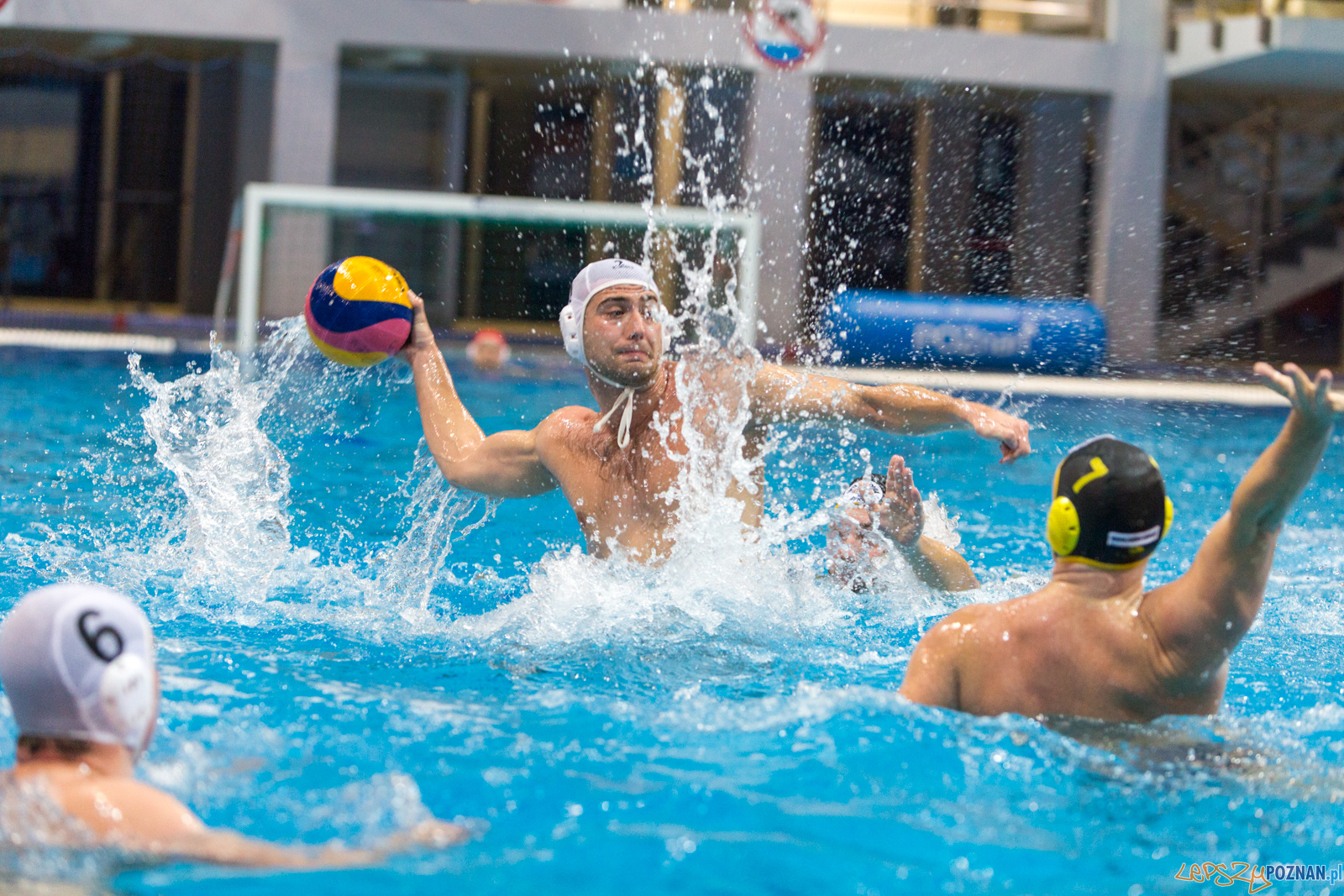 Waterpolo Poznań - Polonia Bytom Foto: lepszyPOZNAN.pl/Piotr Rychter Waterpolo Poznań - Polonia Bytom Foto: lepszyPOZNAN.pl/Piotr Rychter