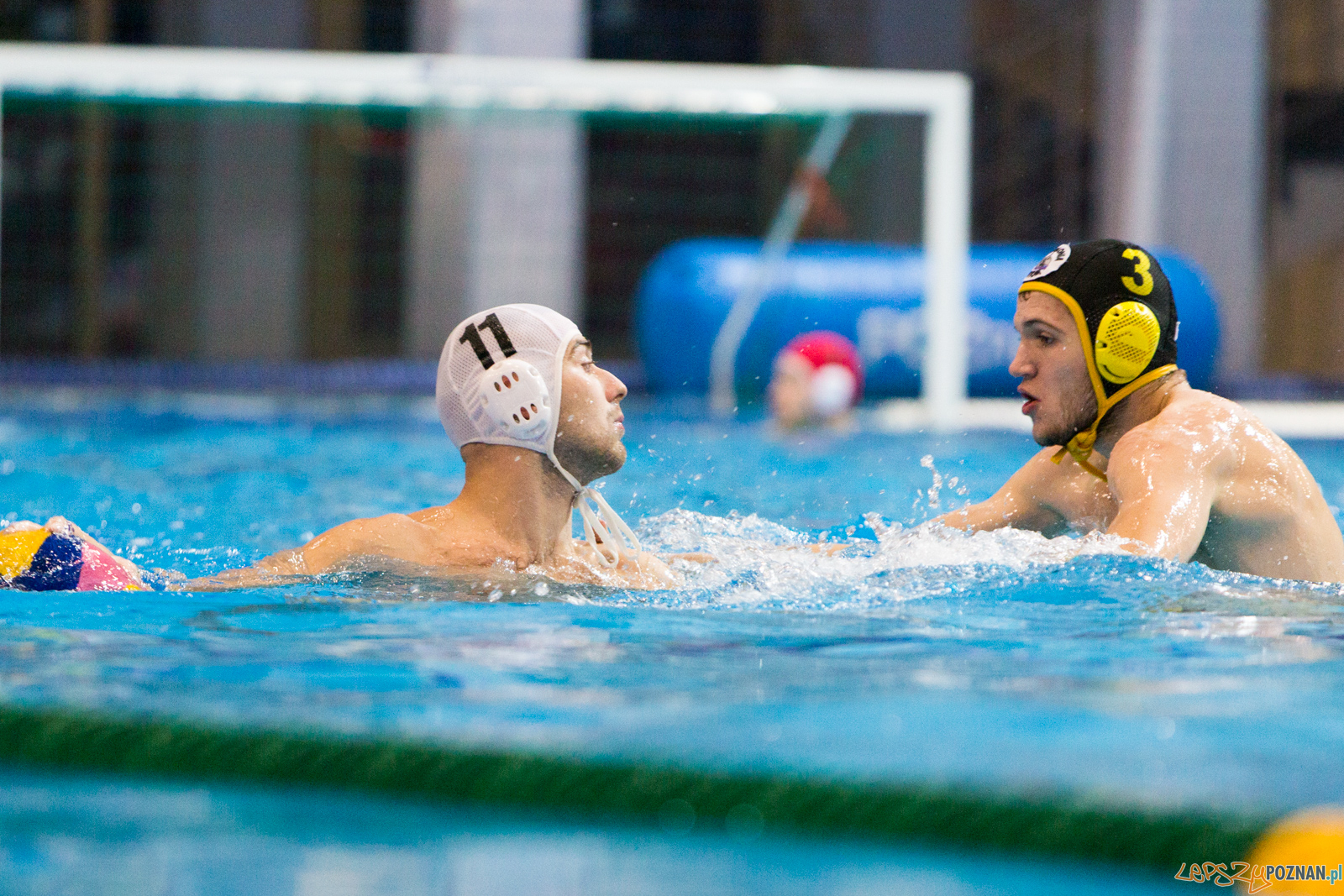 Waterpolo Poznań - Polonia Bytom Foto: lepszyPOZNAN.pl/Piotr Rychter Waterpolo Poznań - Polonia Bytom Foto: lepszyPOZNAN.pl/Piotr Rychter